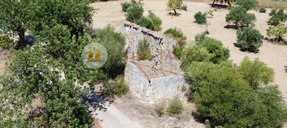 4 bedrooms House in Santa Catarina da Fonte do Bispo, Portugal No. 68740 15