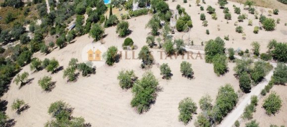 4 bedrooms House in Santa Catarina da Fonte do Bispo, Portugal No. 68740 9