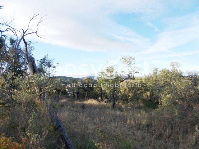 Terrain à Sao Bras de Alportel, Portugal No. 63358