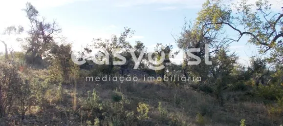 Terrain à Sao Bras de Alportel, Portugal No. 63358 2