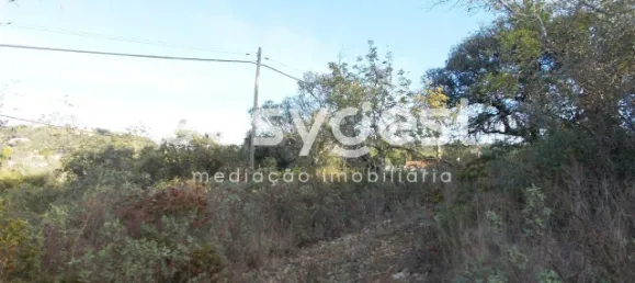 Terrain à Sao Bras de Alportel, Portugal No. 63358 4