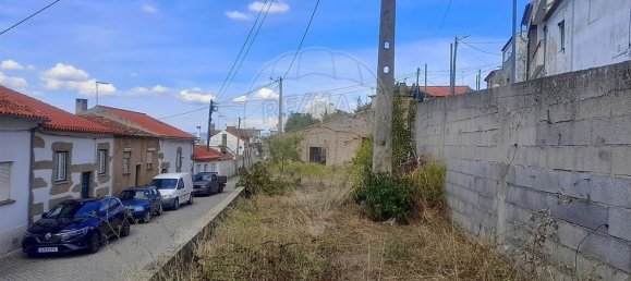 1 bedroom House in Salgueiro do Campo, Portugal No. 165578 6