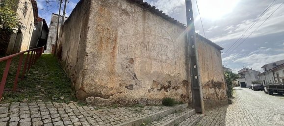 1 bedroom House in Salgueiro do Campo, Portugal No. 165578 9