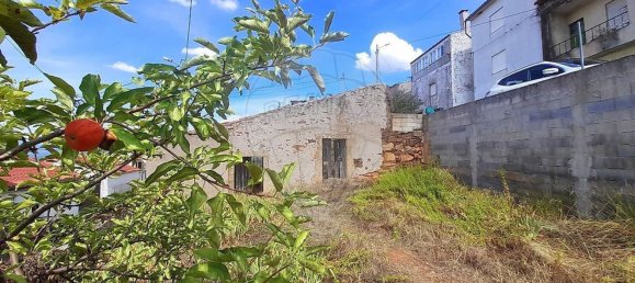 1 bedroom House in Salgueiro do Campo, Portugal No. 165578 3