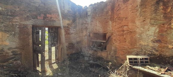 1 bedroom House in Salgueiro do Campo, Portugal No. 165578 7