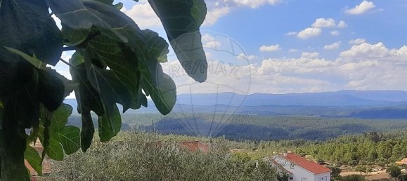 1 bedroom House in Salgueiro do Campo, Portugal No. 165578 5