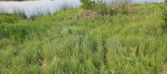 Terreno en Oder-Spree, Germany No. 335748 5