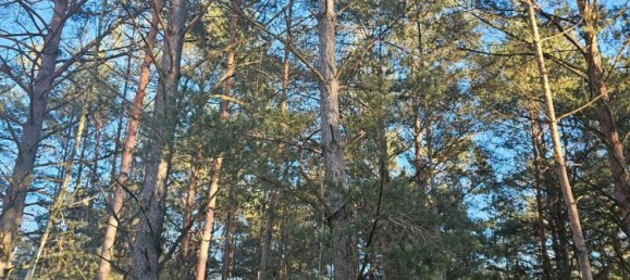 Terreno en Oder-Spree, Germany No. 335748 4