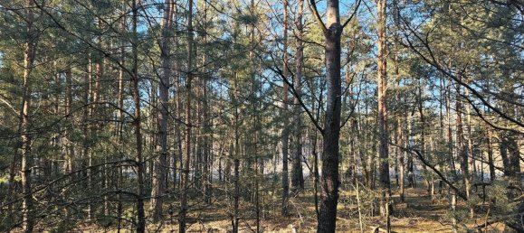 Terreno en Oder-Spree, Germany No. 335748 6