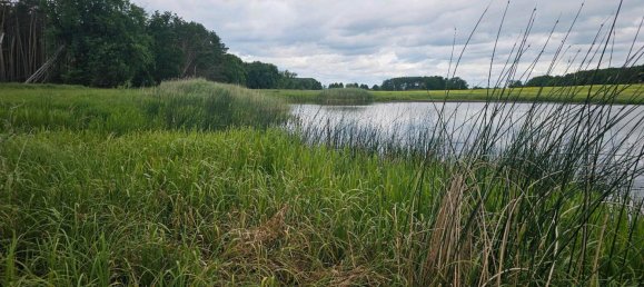 Terreno en Oder-Spree, Germany No. 335748 2