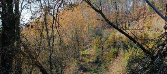  Land in Sao Pedro do Sul, Portugal No. 267151 7