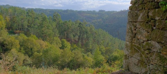  Land in Sao Pedro do Sul, Portugal No. 267151 3