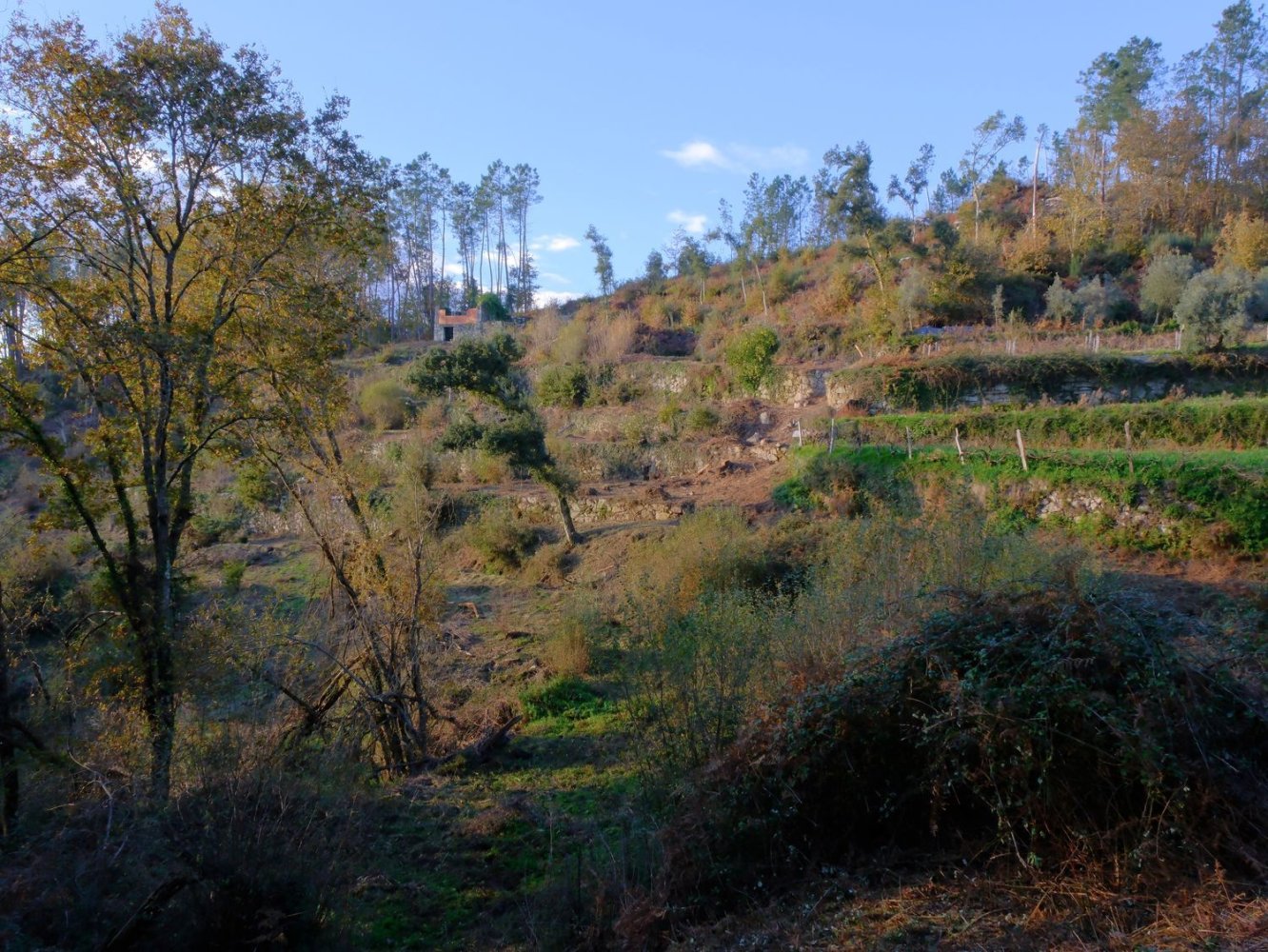 Terreno en Sao Pedro do Sul, Portugal No. 267151