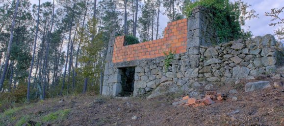  Land in Sao Pedro do Sul, Portugal No. 267151 2