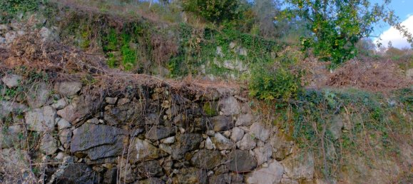  Land in Sao Pedro do Sul, Portugal No. 267151 6