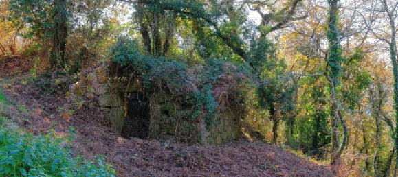  Land in Sao Pedro do Sul, Portugal No. 267151 5