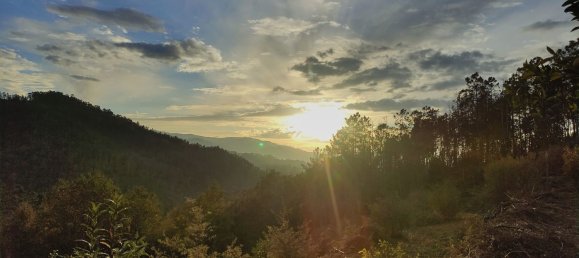  Land in Sao Pedro do Sul, Portugal No. 267151 4