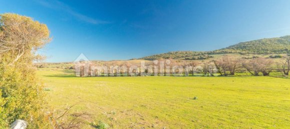 3 غرف نوم منزل في Tempio Pausania, Italy رقم 125017 50