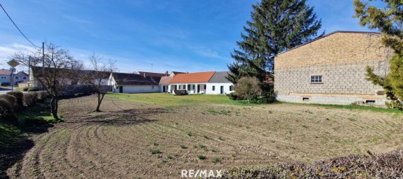 3-salle Maison à Gaweinstal, Austria No. 152048 2