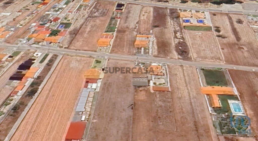  قطعة أرض في Vagos, Portugal 1860متر مربع رقم 314796