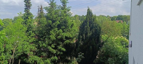 Дом с 7 комнатами в Карлсруэ, Германия № 283644 2