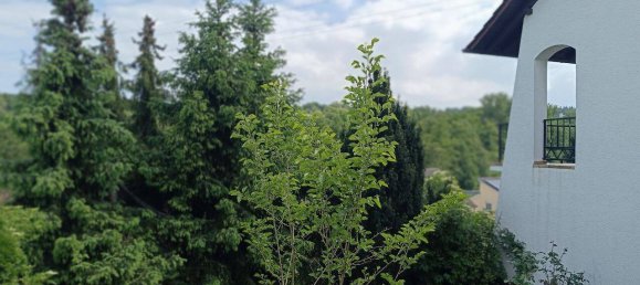 Дом с 7 комнатами в Карлсруэ, Германия № 283644 30