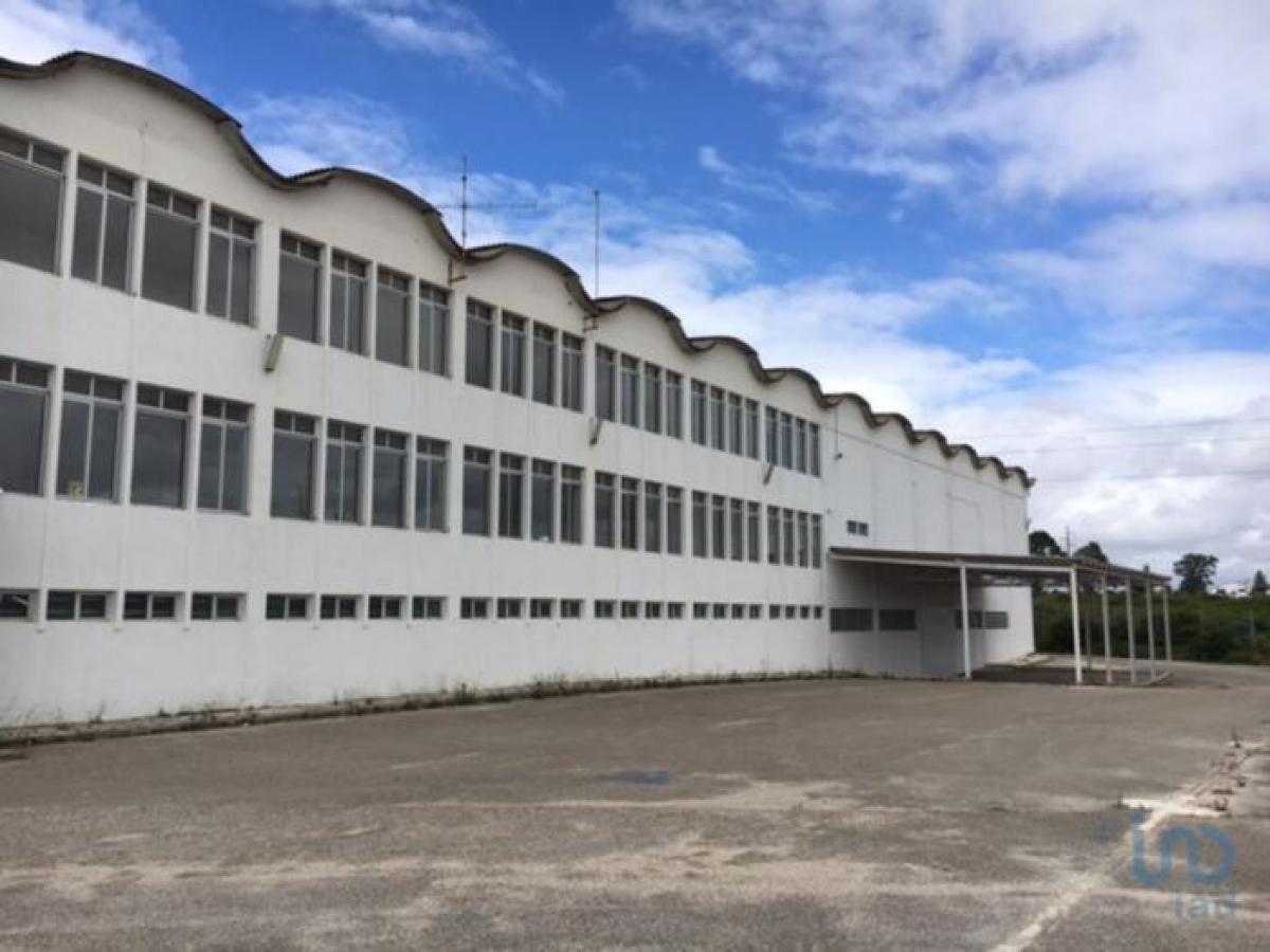 11263m² Shop in Sintra, Portugal No. 8276