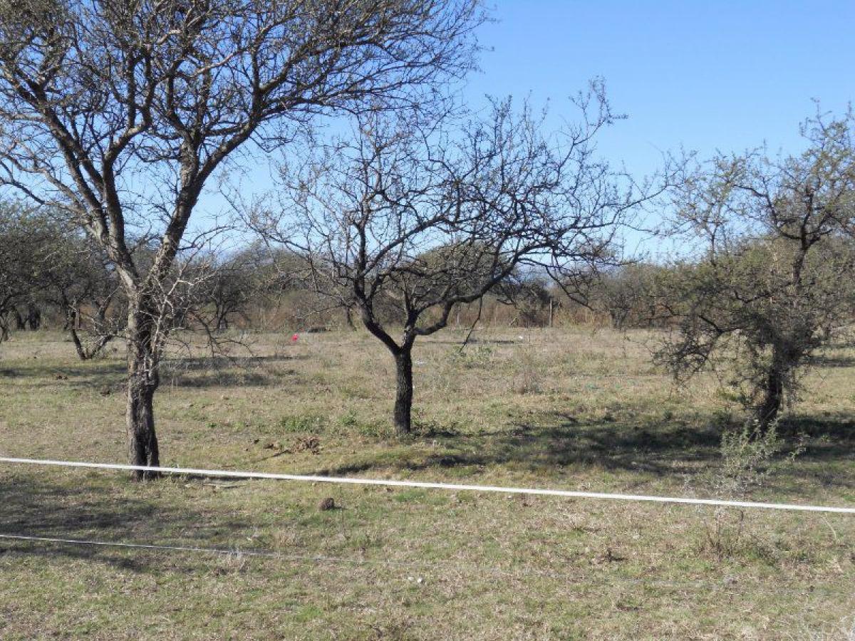 Grundstück in Cordoba, Argentina, Nr. 44379