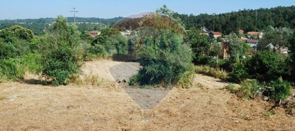  قطعة أرض في Vouzela, Portugal 1700متر مربع رقم 43610 5