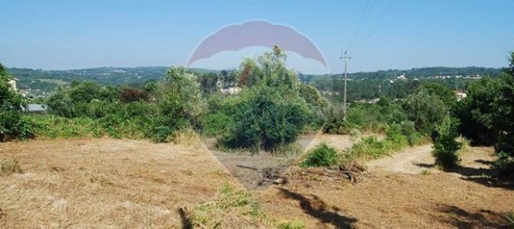  قطعة أرض في Vouzela, Portugal 1700متر مربع رقم 43610 8