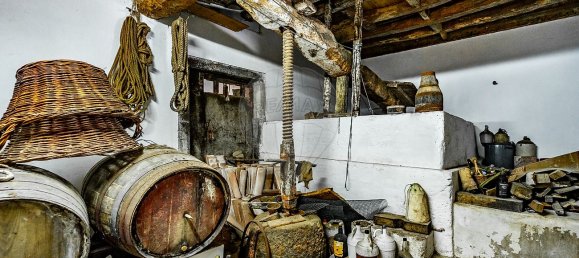 7 Schlafzimmer Haus in Santa Cruz da Graciosa, Portugal, Nr. 26936 13