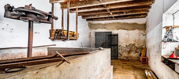 7 Schlafzimmer Haus in Santa Cruz da Graciosa, Portugal, Nr. 26936 15