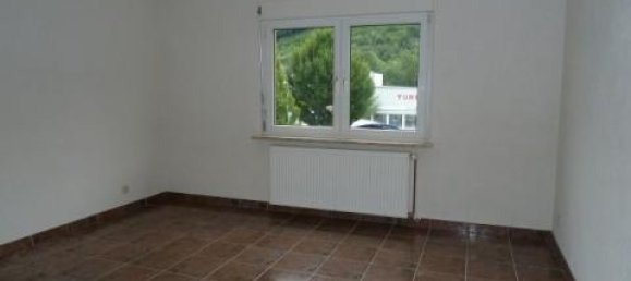 1 غرف نوم شقة في Lorrach, Germany رقم 74360 8