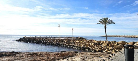 1 chambre Appartement à Torrevieja, Spain No. 99382 15