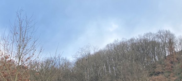  Land in Rhein-Sieg, Germany No. 170418 4