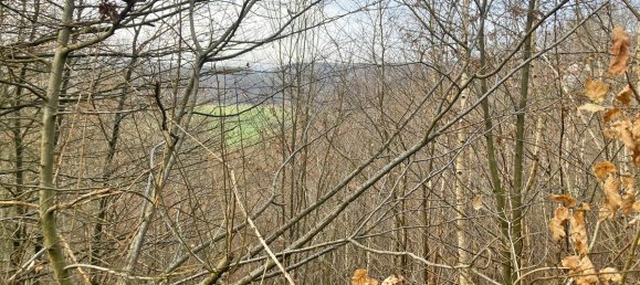  Land in Rhein-Sieg, Germany No. 170418 3