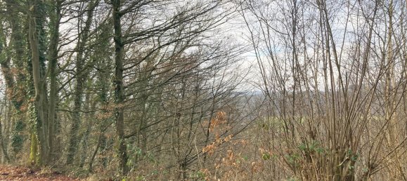  Land in Rhein-Sieg, Germany No. 170418 2