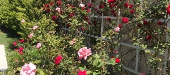 6 غرف نوم منزل في Sabunchu, Azerbaijan رقم 20 16