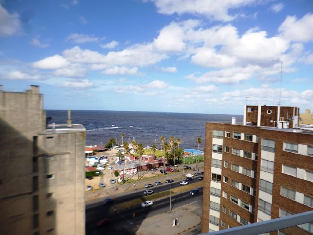 Studio in Montevideo, Uruguay No. 1430