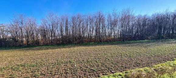 Terreno en Arconate, Italy 6960 m² No. 75399 7