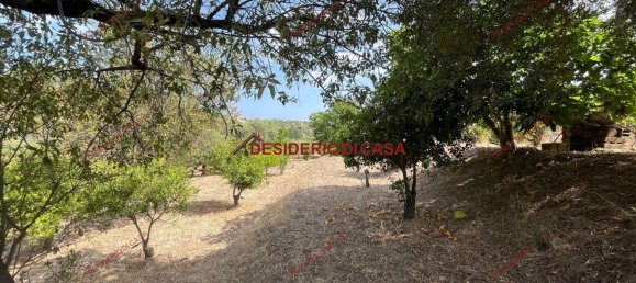 2 rooms Villa in Lascari, Italy No. 284736 14