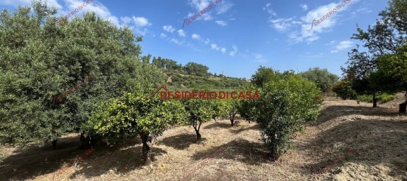 2 rooms Villa in Lascari, Italy No. 284736 18