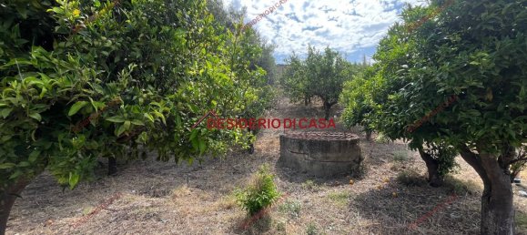 2 rooms Villa in Lascari, Italy No. 284736 19