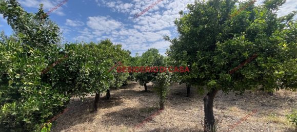 2 rooms Villa in Lascari, Italy No. 284736 11