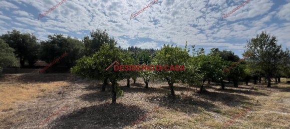 2 rooms Villa in Lascari, Italy No. 284736 9