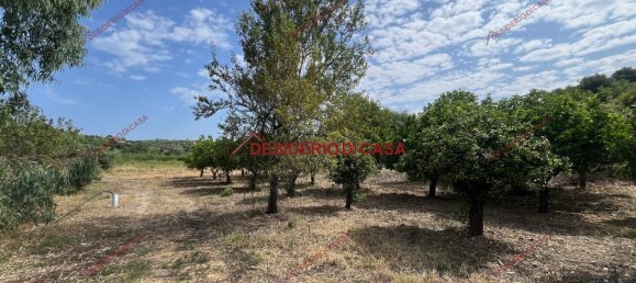 2 rooms Villa in Lascari, Italy No. 284736 10