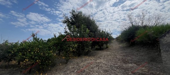 2 rooms Villa in Lascari, Italy No. 284736 15