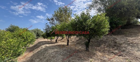 2 rooms Villa in Lascari, Italy No. 284736 13