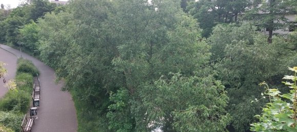 2-Zimmer Wohnung in Leipzig, Germany, Nr. 112598 11