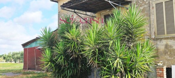 5-Zimmer Haus in Grosseto, Italy, Nr. 289626 19